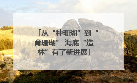 从“种珊瑚”到“育珊瑚” 海底“造林”有了新进展