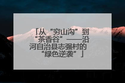从“穷山沟”到“茶香谷”——沿河自治县志强村的“绿色逆袭”