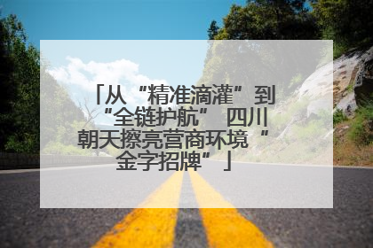 从“精准滴灌”到“全链护航” 四川朝天擦亮营商环境“金字招牌”