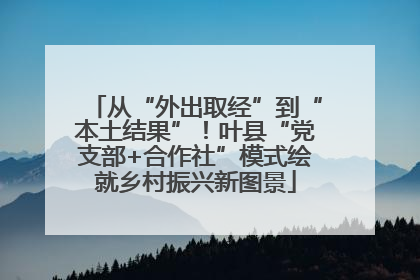 从“外出取经”到“本土结果”！叶县“党支部+合作社”模式绘就乡村振兴新图景
