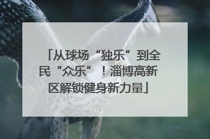 从球场“独乐”到全民“众乐”！淄博高新区解锁健身新力量
