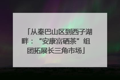 从秦巴山区到西子湖畔：“安康富硒茶”组团拓展长三角市场