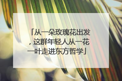 从一朵玫瑰花出发，这群年轻人从一花一叶走进东方哲学