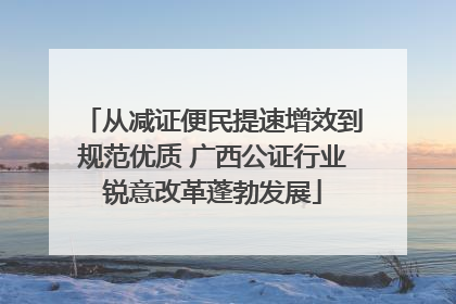 从减证便民提速增效到规范优质 广西公证行业锐意改革蓬勃发展