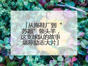 从拖鞋厂到“苏超”领头羊，这支球队的故事堪称励志大片