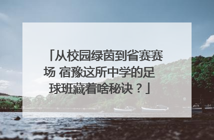 从校园绿茵到省赛赛场 宿豫这所中学的足球班藏着啥秘诀？