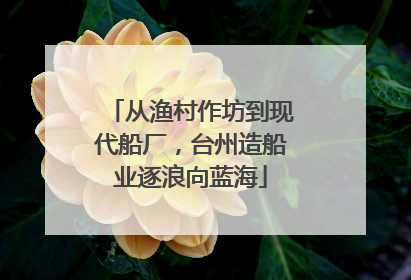 从渔村作坊到现代船厂，台州造船业逐浪向蓝海