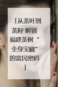 从茶叶到茶籽 解锁福建茶树“全身宝藏”的富民密码