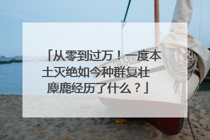 从零到过万！一度本土灭绝如今种群复壮 麋鹿经历了什么？