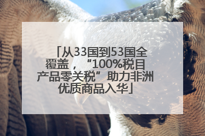 从33国到53国全覆盖，“100%税目产品零关税”助力非洲优质商品入华