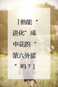 他能“进化”成申花的“第六外援”吗？