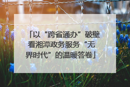 以“跨省通办”破壁 看湘潭政务服务“无界时代”的温暖答卷