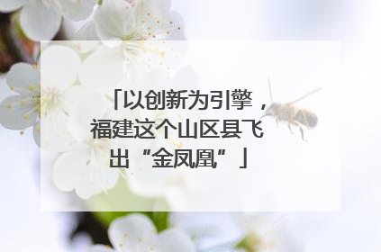 以创新为引擎，福建这个山区县飞出“金凤凰”