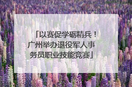 以赛促学砺精兵！广州举办退役军人事务员职业技能竞赛