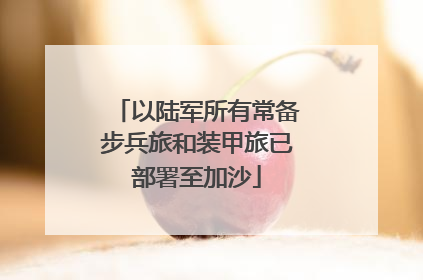 以陆军所有常备步兵旅和装甲旅已部署至加沙