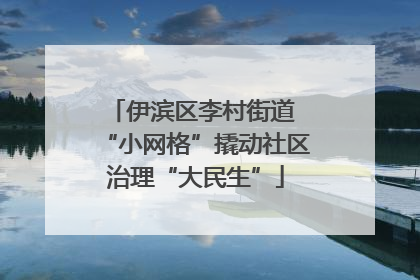 伊滨区李村街道 “小网格”撬动社区治理“大民生”