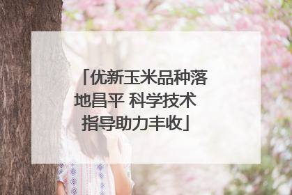 优新玉米品种落地昌平 科学技术指导助力丰收