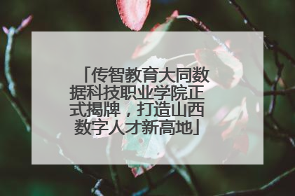 传智教育大同数据科技职业学院正式揭牌，打造山西数字人才新高地