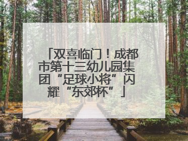 双喜临门！成都市第十三幼儿园集团“足球小将”闪耀“东郊杯”