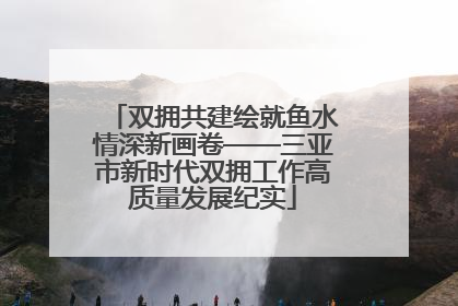 双拥共建绘就鱼水情深新画卷——三亚市新时代双拥工作高质量发展纪实