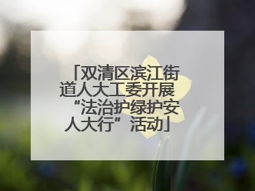 双清区滨江街道人大工委开展“法治护绿护安人大行”活动