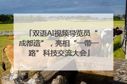 双语AI视频导览员“成都造”，亮相“一带一路”科技交流大会