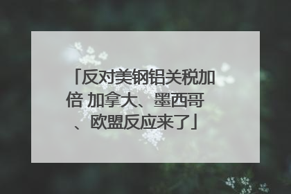 反对美钢铝关税加倍 加拿大、墨西哥、欧盟反应来了