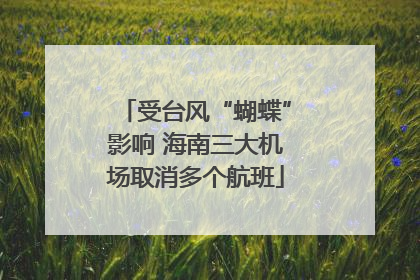 受台风“蝴蝶”影响 海南三大机场取消多个航班