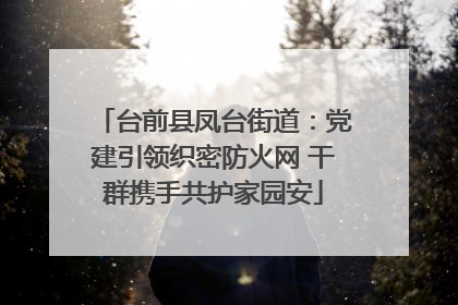 台前县凤台街道：党建引领织密防火网 干群携手共护家园安