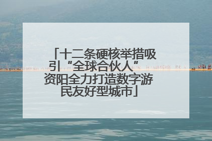十二条硬核举措吸引“全球合伙人” 资阳全力打造数字游民友好型城市