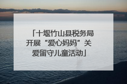 十堰竹山县税务局开展“爱心妈妈”关爱留守儿童活动