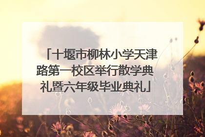 十堰市柳林小学天津路第一校区举行散学典礼暨六年级毕业典礼