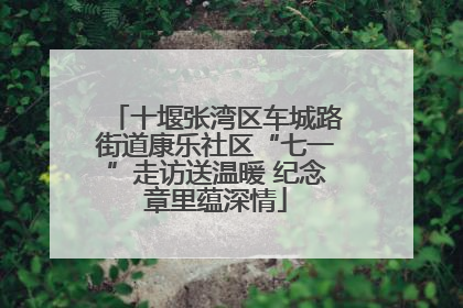 十堰张湾区车城路街道康乐社区“七一”走访送温暖 纪念章里蕴深情