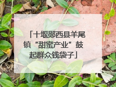 十堰郧西县羊尾镇“甜蜜产业”鼓起群众钱袋子