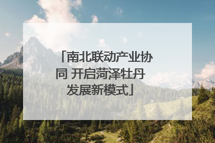 南北联动产业协同 开启菏泽牡丹发展新模式