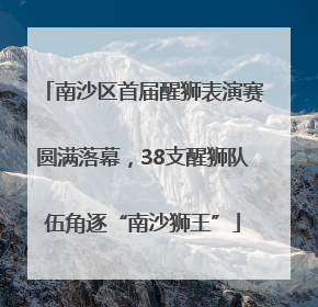 南沙区首届醒狮表演赛圆满落幕，38支醒狮队伍角逐“南沙狮王”