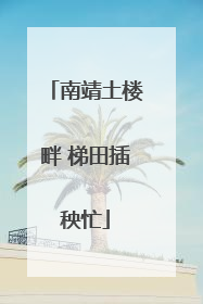 南靖土楼畔 梯田插秧忙