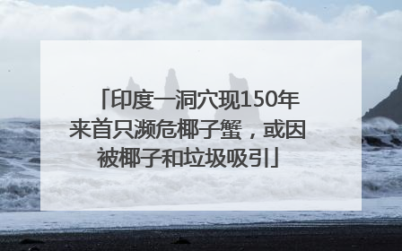 印度一洞穴现150年来首只濒危椰子蟹，或因被椰子和垃圾吸引
