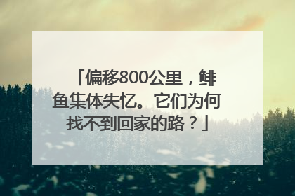 偏移800公里，鲱鱼集体失忆。它们为何找不到回家的路？