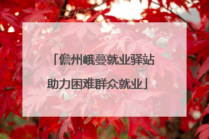 儋州峨蔓就业驿站助力困难群众就业