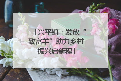 兴平镇：发放“致富羊”助力乡村振兴启新程