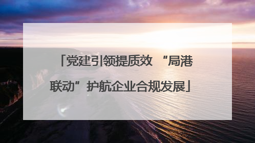 党建引领提质效 “局港联动”护航企业合规发展