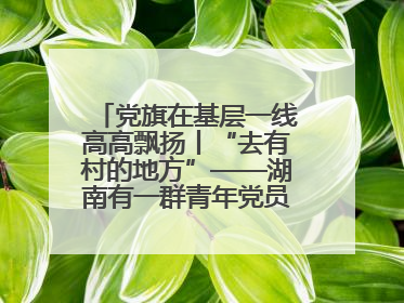 党旗在基层一线高高飘扬丨“去有村的地方”——湖南有一群青年党员这样选择