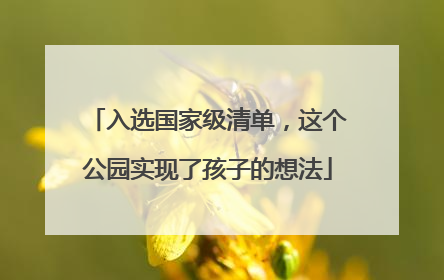 入选国家级清单，这个公园实现了孩子的想法