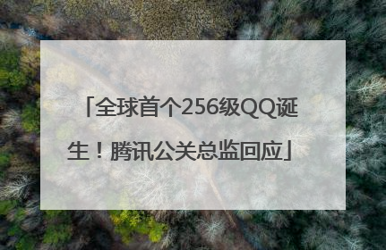 全球首个256级QQ诞生！腾讯公关总监回应