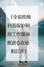 全省传统村落保护利用工作现场推进会在松阳召开