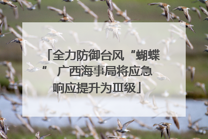 全力防御台风“蝴蝶” 广西海事局将应急响应提升为Ⅲ级