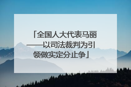 全国人大代表马丽——以司法裁判为引领做实定分止争