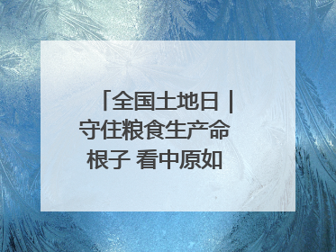 全国土地日｜守住粮食生产命根子 看中原如何“耕”新