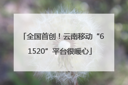 全国首创！云南移动“61520”平台很暖心